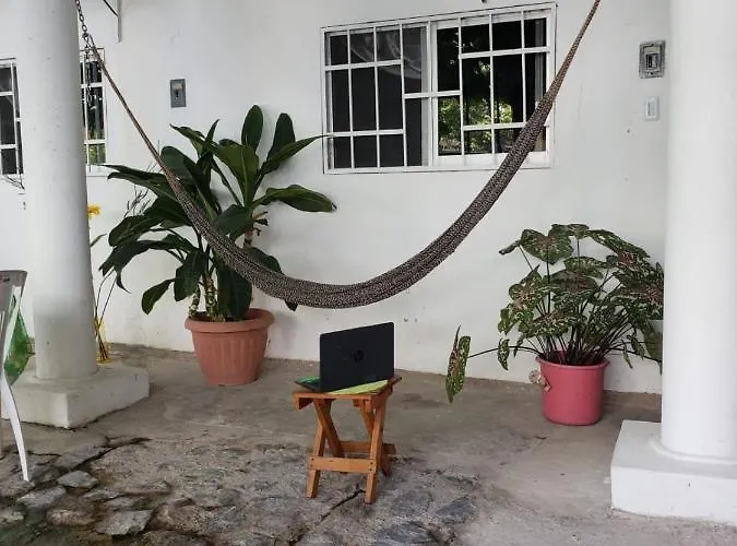 Palmas
