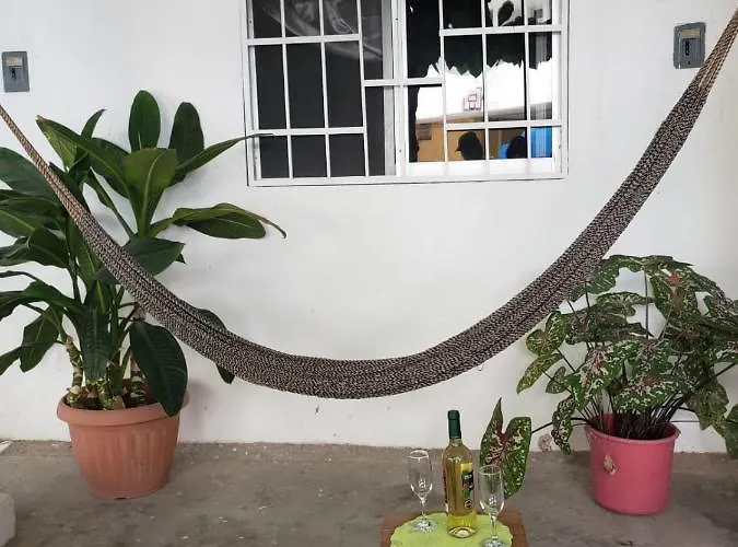 Apartamento Palmas *